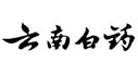 为云南白药集团提供药学翻译