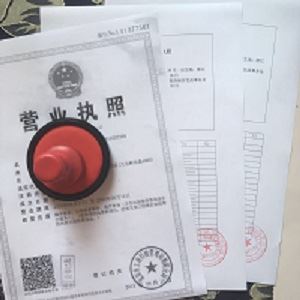 南京车管所国外驾照指定翻译公司